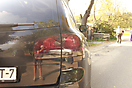 Стайлинг оптики Volkswagen Touareg I_5