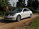 Комбинация : Белый матовый с Черной кожей аллигатора на BMW 5 E60